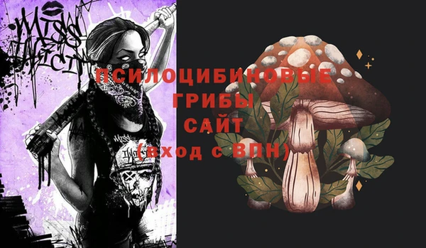 ГАЛЛЮЦИНОГЕННЫЕ ГРИБЫ Сафоново