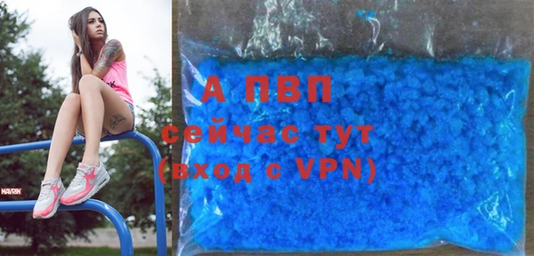 ГАЛЛЮЦИНОГЕННЫЕ ГРИБЫ Сафоново