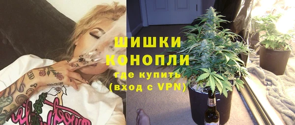 ГАЛЛЮЦИНОГЕННЫЕ ГРИБЫ Сафоново