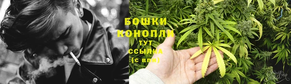 ГАЛЛЮЦИНОГЕННЫЕ ГРИБЫ Сафоново