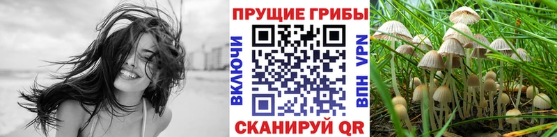 Купить где  Полтавская  Галлюциногенные грибы прущие грибы 